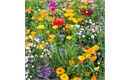 Picture of Annual Bee Mix Seeds