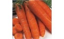 Picture of Autumn King Carrot Seeds