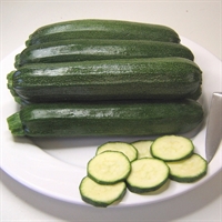 Picture of Defender Courgette Seeds