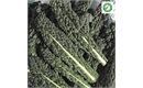 Picture of Cavolo Nero Kale Seeds