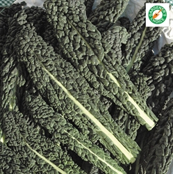 Picture of Cavolo Nero Kale Seeds