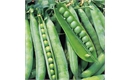 Picture of Hurst Green Pea Seeds