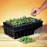 Picture of Rootrainer, 1 pack of 32 cells