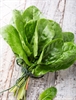 Picture of Fresh Sorrel Leaves