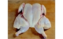 Picture of Whole Spatchcock Chicken, Large