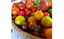 Picture of Mixed Heritage Tomatoes