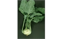 Picture of White Kohlrabi