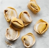 Picture of Ricotta & Italian Sausage Tortelloni