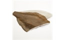 Picture of Plaice Fillets