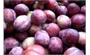 Picture of Opal Plums