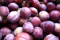 Picture of Opal Plums