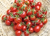 Picture of Cherry Tomatoes