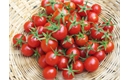 Picture of Cherry Tomatoes
