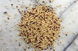 Picture of Red & White Quinoa (500g)