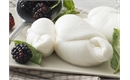 Picture of Nodino Mozzarella