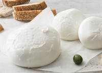 Picture of Bocconcino Mozzarella