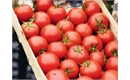 Picture of Salad Tomatoes