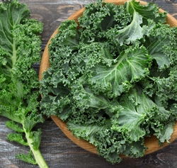 Picture of Green Curly Kale