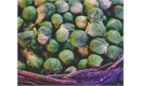 Picture of Brussel Sprouts, Loose