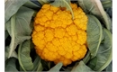 Picture of Clementine Cauliflower