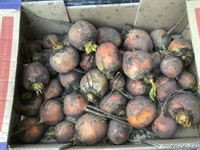 Picture of Golden Beetroot, Loose