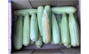 Picture of Devon Sweetcorn