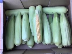 Picture of Lancashire Sweetcorn