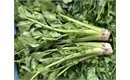 Picture of Celery Head