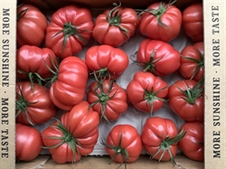 Picture of Beefsteak Tomatoes