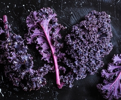 Picture of Red Curly Kale