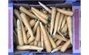 Picture of Yellowstone Carrots