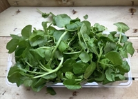 Picture of Watercress (100g)