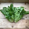 Picture of Little Gem Lettuce x 2