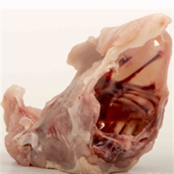 Picture of Chicken Carcass