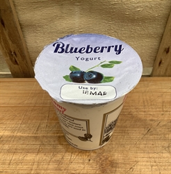 Picture of Live Creamy Blueberry Yogurt