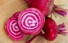 Picture of Chioggia Beetroot, Loose