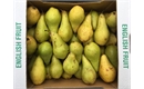 Picture of Concorde Pears