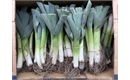 Picture of Leeks