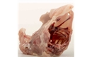 Picture of Chicken Carcass