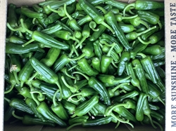 Picture of Padron Peppers