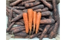 Picture of Carrots, Loose