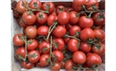 Picture of Vine Tomatoes