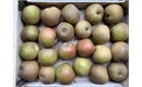 Picture of Egremont Russet Apples