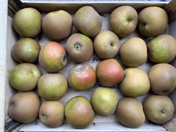 Picture of Egremont Russet Apples