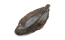 Picture of Dover Sole