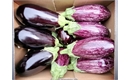 Picture of Aubergine x 1
