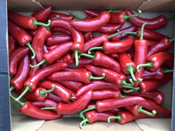 Picture of New Season Red Romano Peppers