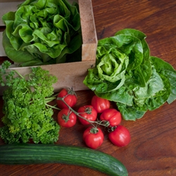 Picture of Spring Salad Box