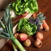 Picture of Seasonal Fruit & Veg Box, Small