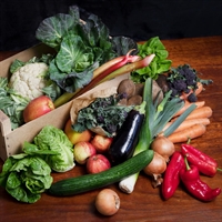 Picture of Seasonal Fruit & Veg Box, Large